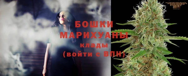 PSILOCYBIN Бородино