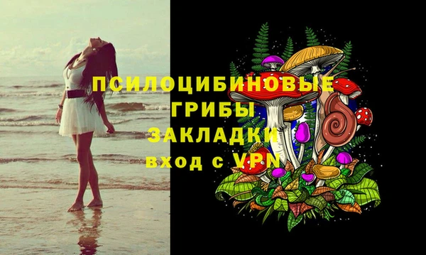 PSILOCYBIN Бородино