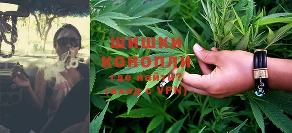 PSILOCYBIN Бородино