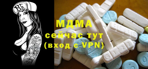PSILOCYBIN Бородино