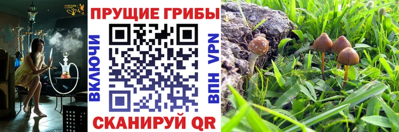 Псилоцибиновые грибы Cubensis  Подольск 
