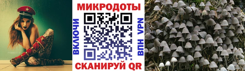 Псилоцибиновые грибы GOLDEN TEACHER Подольск